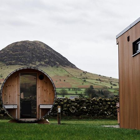 Slemish Hideaway - Funky Pheasant Villa Broughshane Luaran gambar